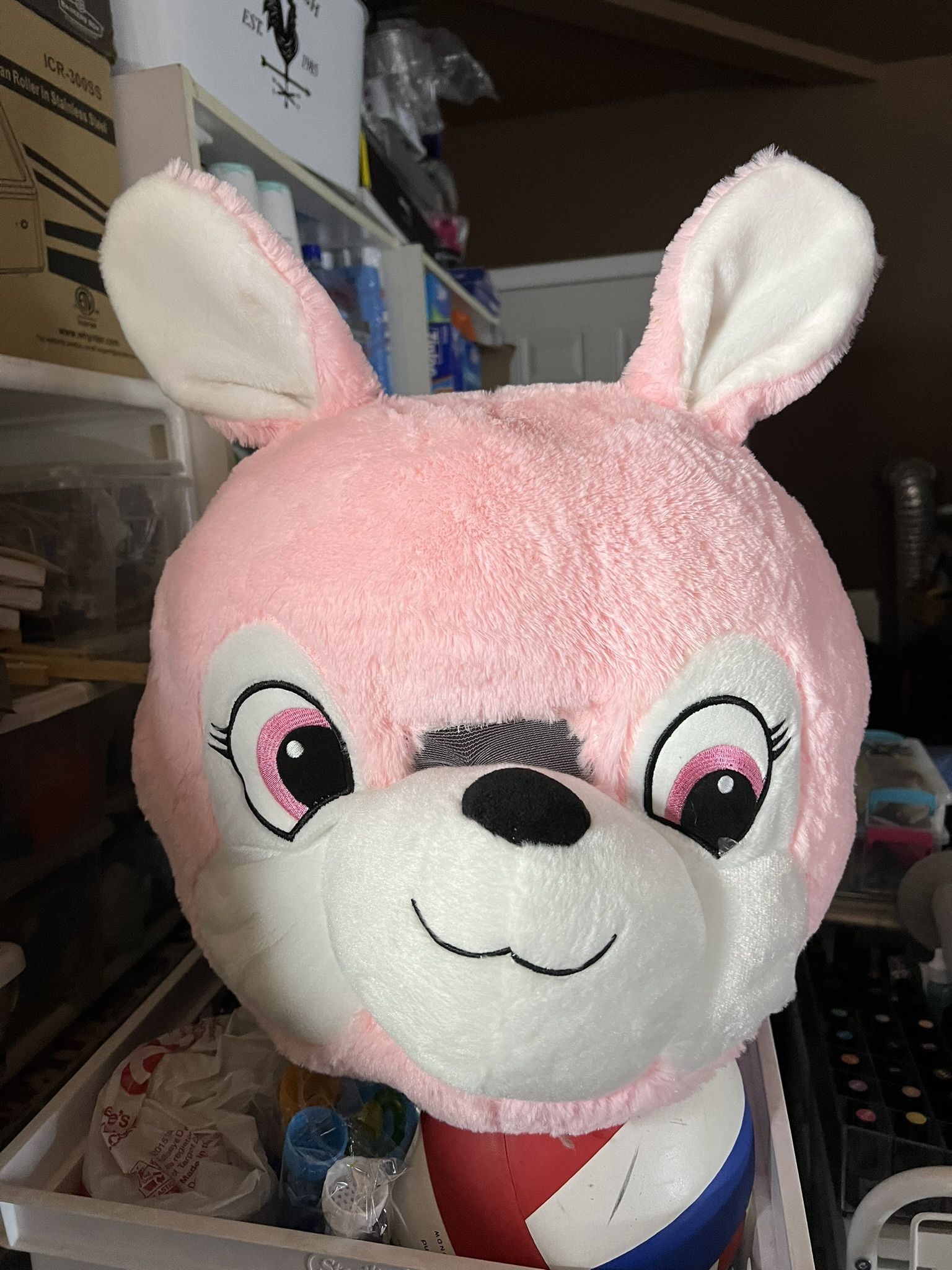 Mascot Head