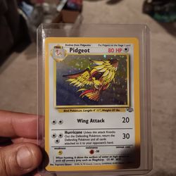 Pokemon Card Jungle addition Pidgeot