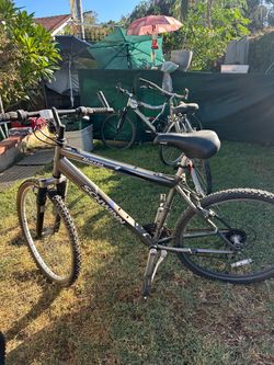 Miranda Schwinn bike