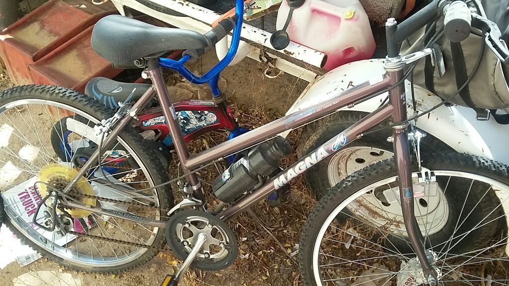 Magna zanzibar 15 speed shimano adult mountain bike