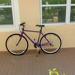 Giant Innova Hybrid Bike