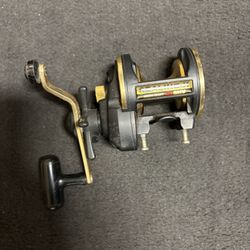 Diawa Sealine X 20 SHV