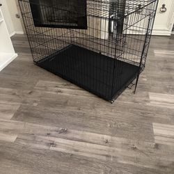 Dog Kennel 