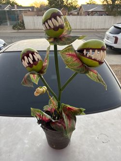 Audrey II Little Shop of Horrors Prop Plant