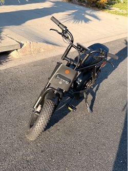 Rictor Flexx E Bike 500w