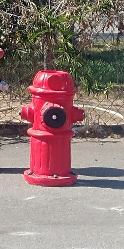 Back in stock pickup 9-21-20 Medium 24" fire hydrant planter decor pet yard