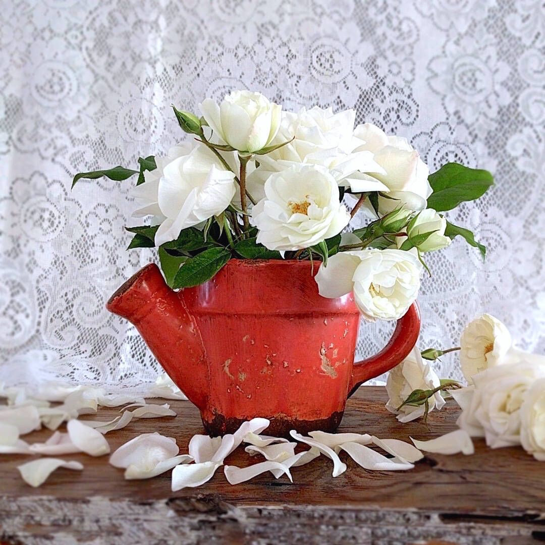 Rustic Orange Terracotta Watering Can
$15