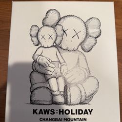KAWS:HOLIDAY Changbai Mountain (Black) Vinyl Figure – Authentic w/ ARR Card – New/Complete