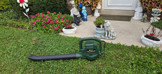 Leaf blower