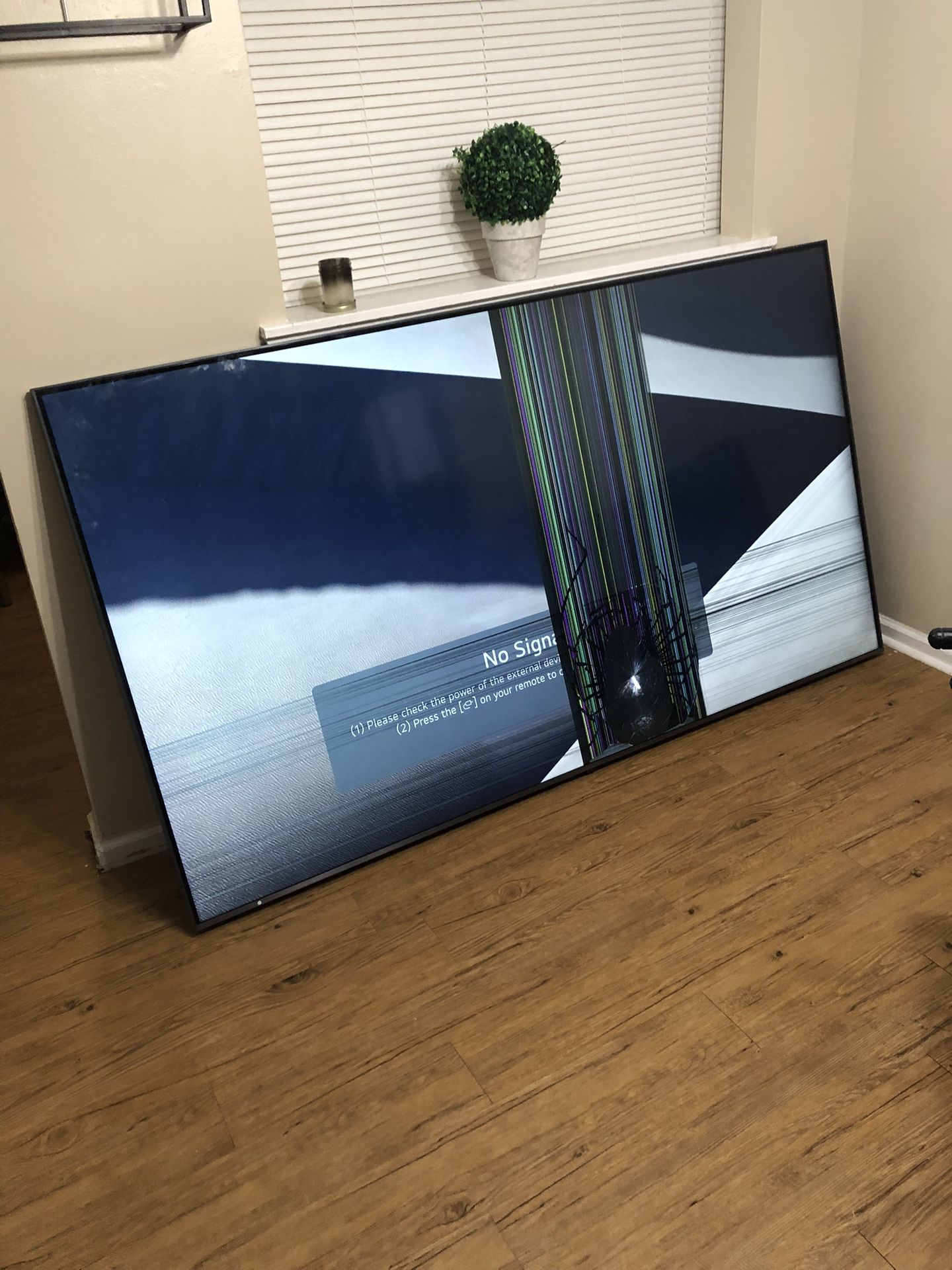 86 INCH LG TV!