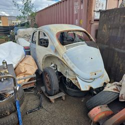 VW 1969