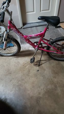 Granddaughters bike