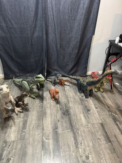 Dino Collection