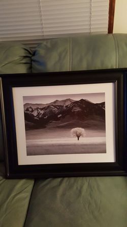 Black and White Framed Print