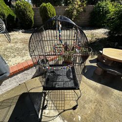 Bird Cage