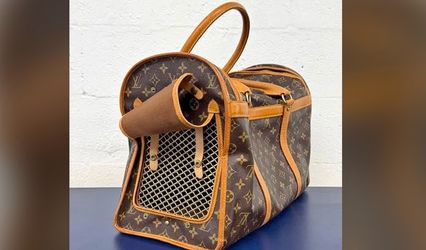 Louis Vuitton dog carrier