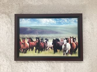 Stallion picture print in a wooden frame
