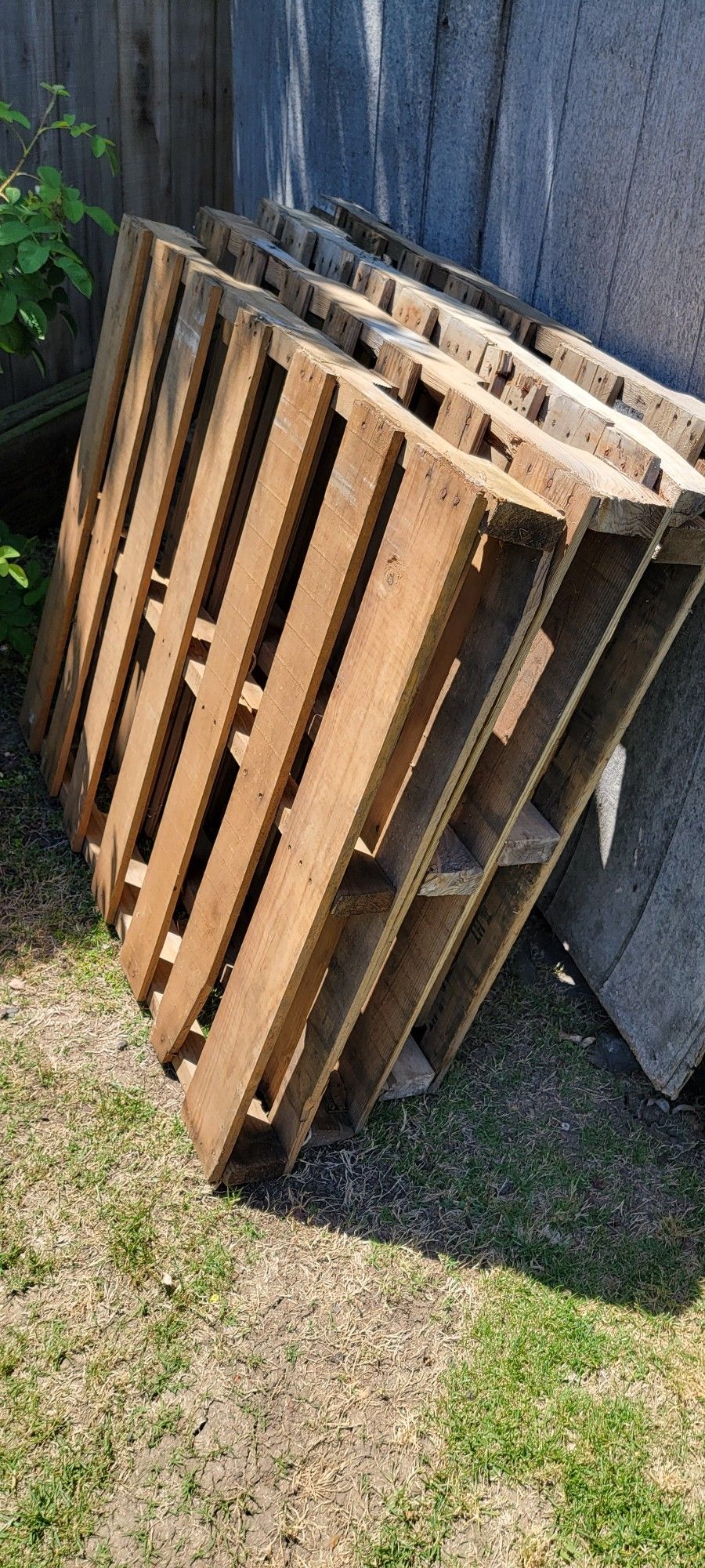 Wood Palletes