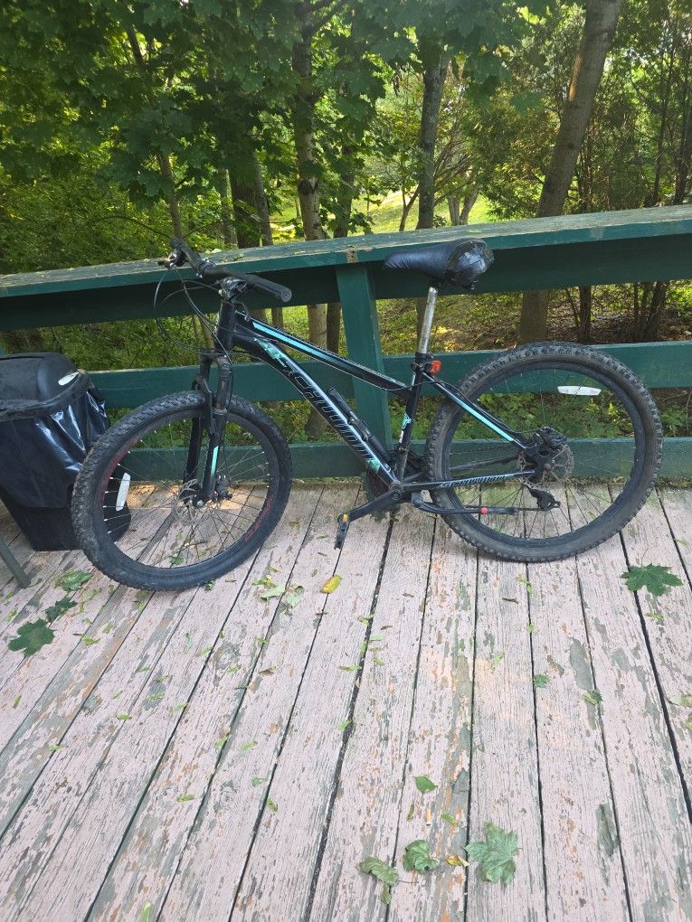 Best Schwinn Ever Made