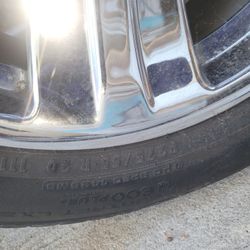 20 rims