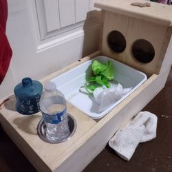 Rabbit Food And Potty Box