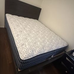 Brand New Queen Mattresses Firm