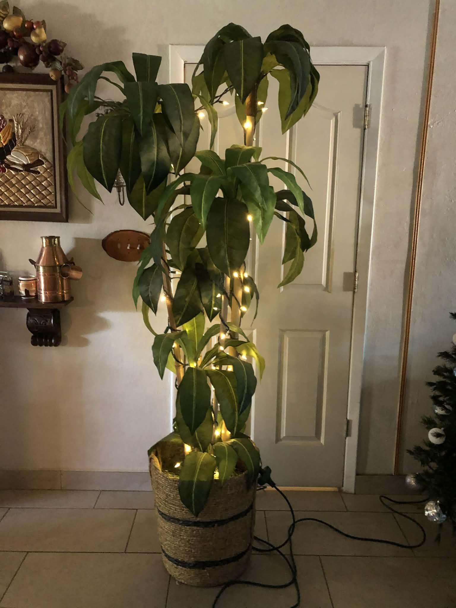Bamboo Tree Pre-lighted $60