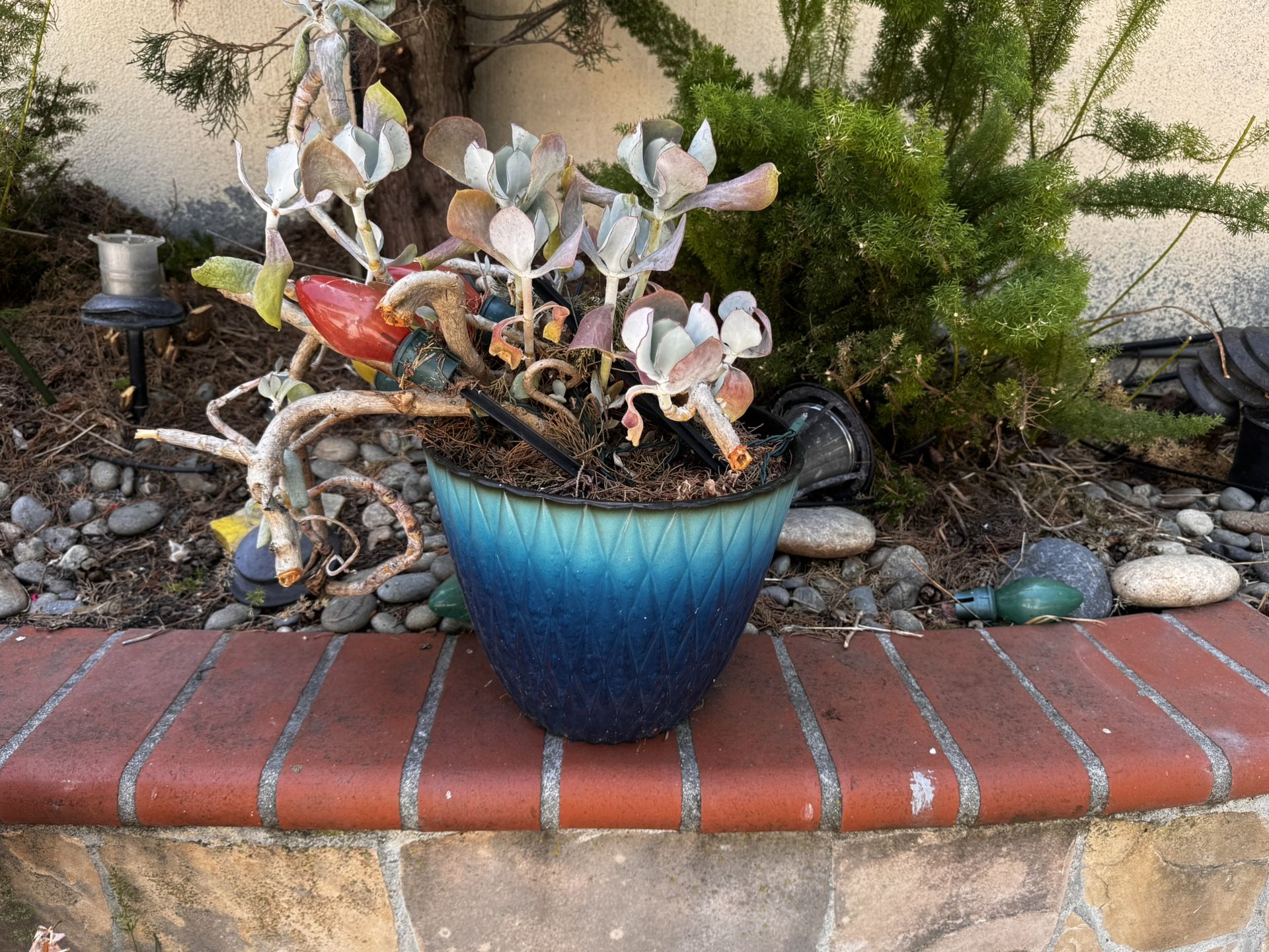 Various Size Planters For Sale!