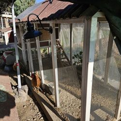 Chic coop 2 nesting area and plenty of room nice a big area for them to hang out in paid 1600 had it take a 1000 u will get all food and supplies