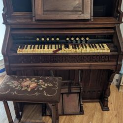 Belmont Organ