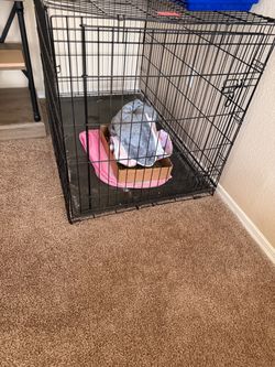Xl dog cage