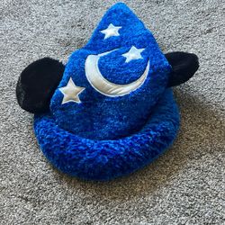Disney Hat 