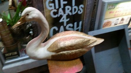 Huge 2 foot wide duck