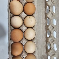 Huevos Criollos A La Venta 30 Huevos $15