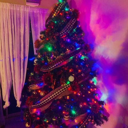 Christmas Tree for Sale in Fort Lauderdale, FL OfferUp