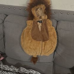 Costume Of Lion 