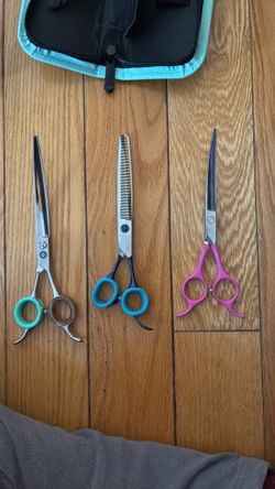Farah shears and Daksing shears