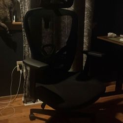 Office ergonomic chair