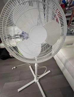 Fan