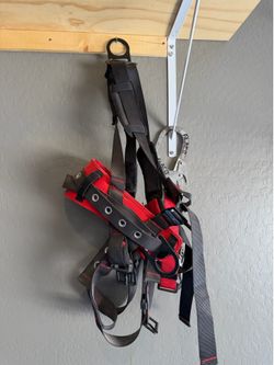 Harness