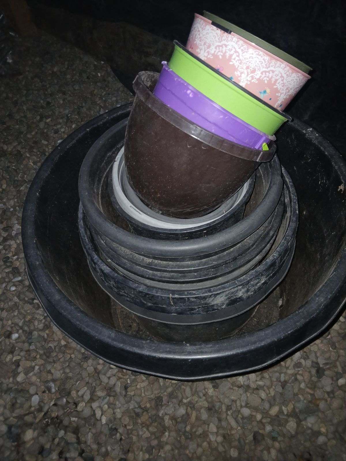 Planter Pots $30 Takes All