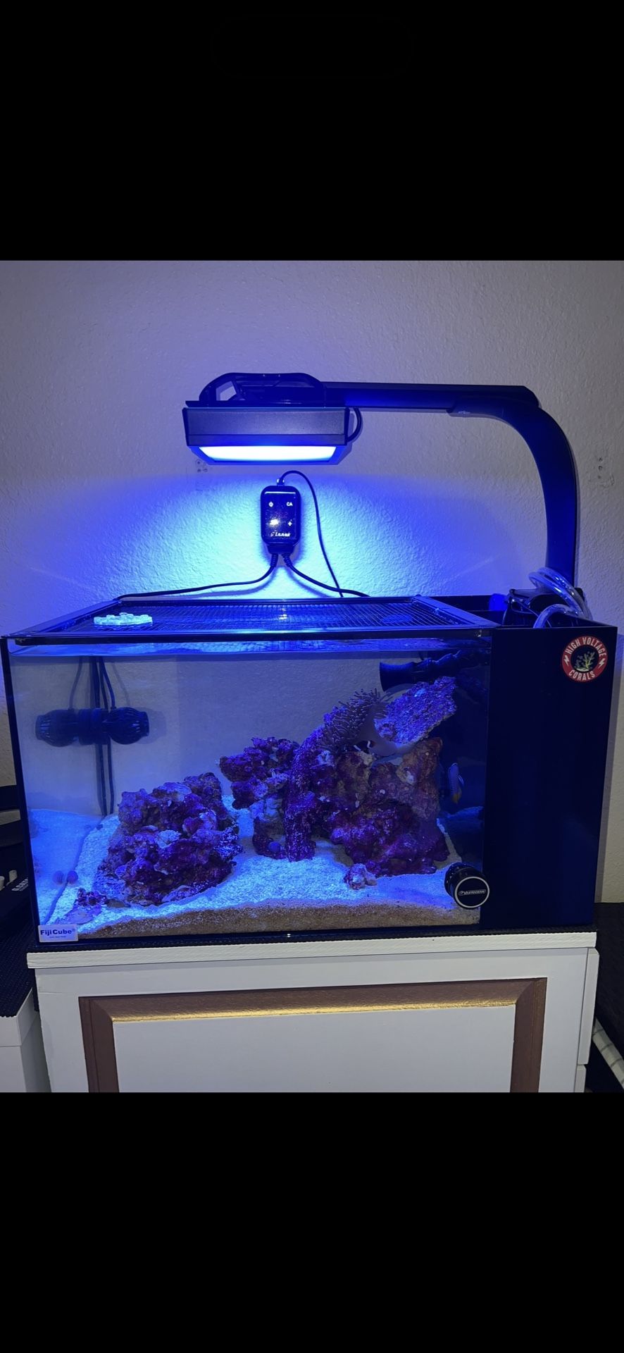 20G Fiji Peninsula Tank