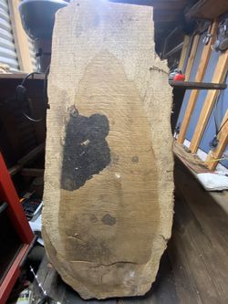 Live Edge Slabs
