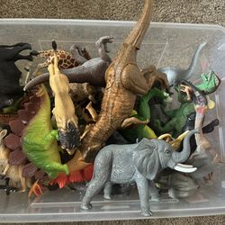 Animals and dinosaurs