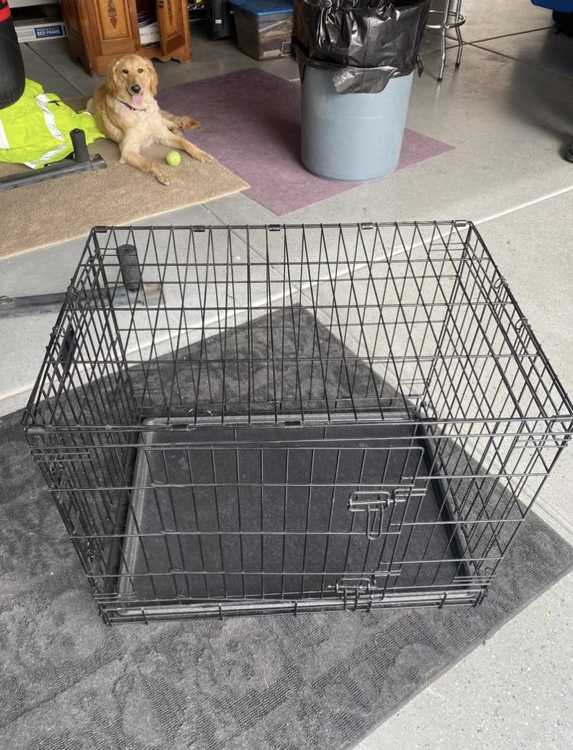 Dog Crate 