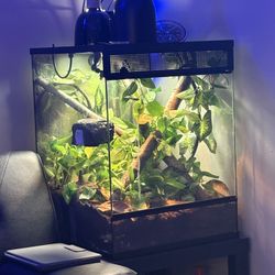 18x18x24 Tank For Sale As Is