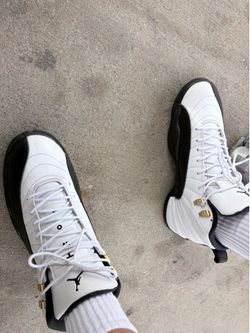 Jordan 12 Taxi (2013 release ) size 11.5