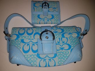 Small purse and wallet