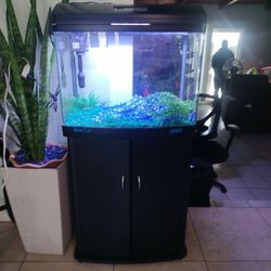32/ https://offerup.com/redirect/?o=R2FsbG9uLkZpc2g=   Tank Bow.Front W  Stand
