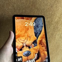 iPad Mini 6th Gen 64 Gb 